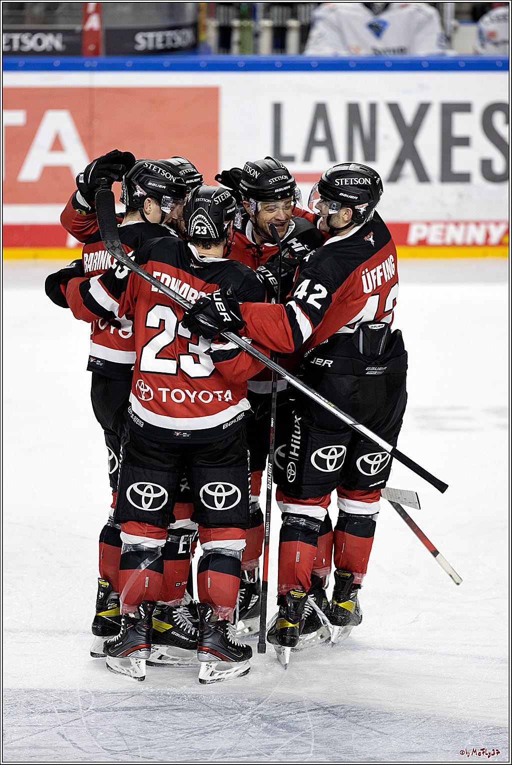PENNY DEL;  Koelner Haie - ERC Ingolstadt; Koeln, 19.12.2021